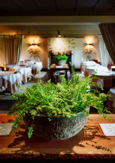 Elegant dining room at Fernery restaurant, The Grove, Narberth. © Grove of Narberth