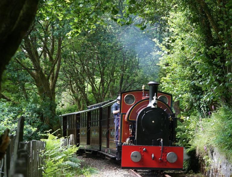 A red steam locomotive pulling along carriages amongst forestry.