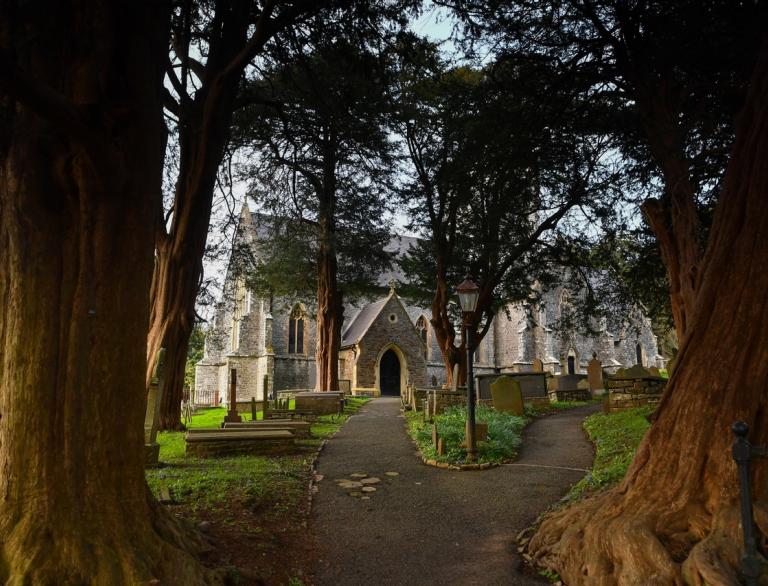 Two large trees at the start of a path leading to a church and graveyard.