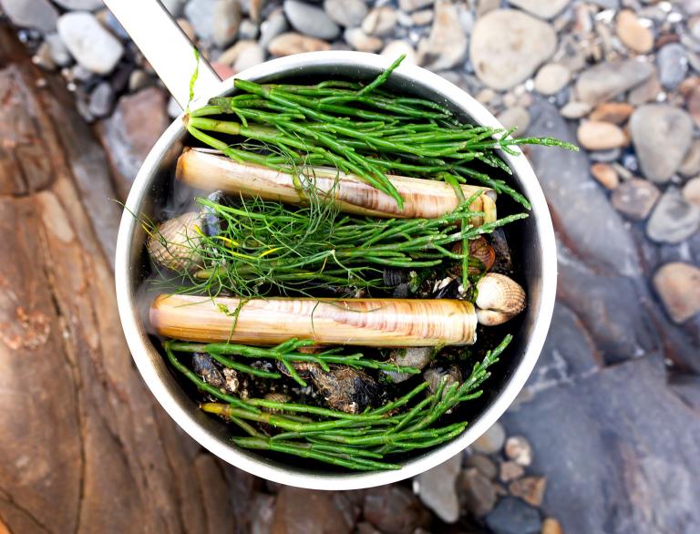 Foraged, cockles, mussels, razorclams and herbs cooking on a pebble beach.