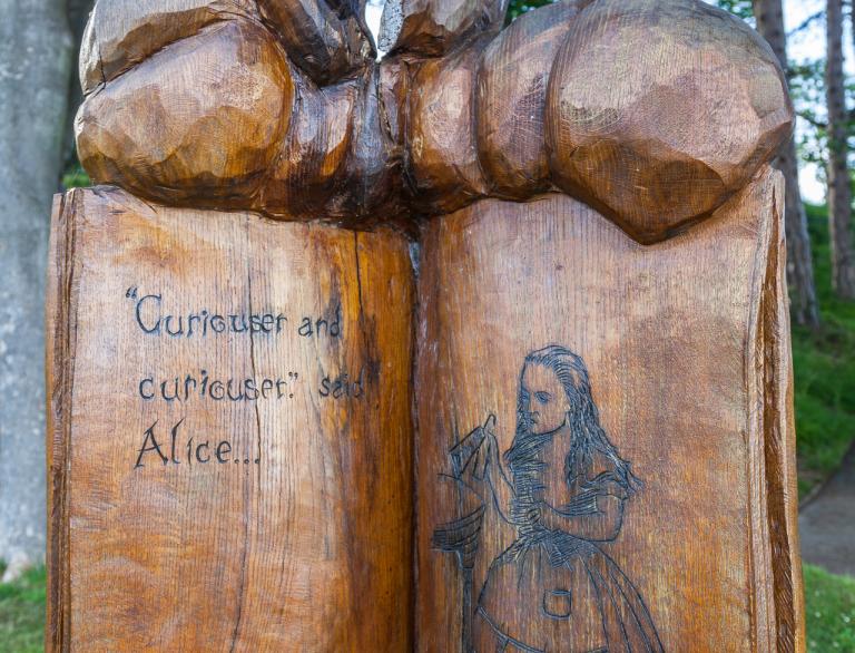 Image of a carving on the Alice in Wonderland Trail.