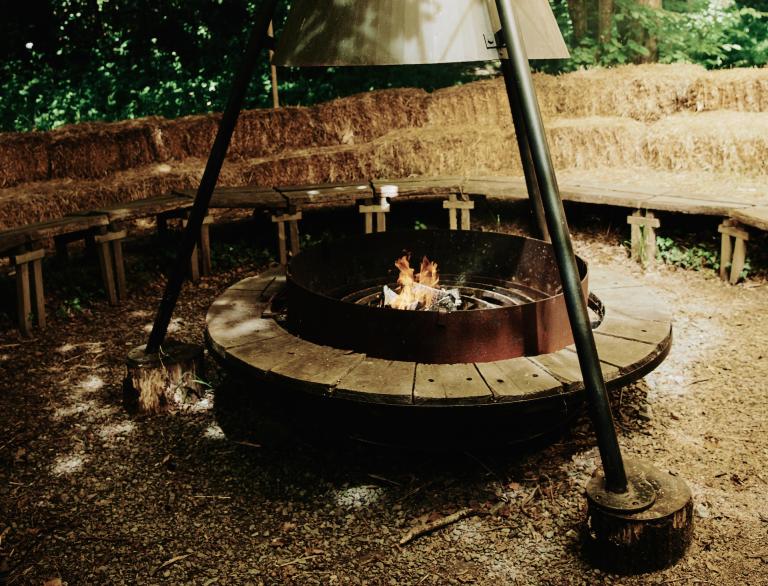 Fire pit in the forest.