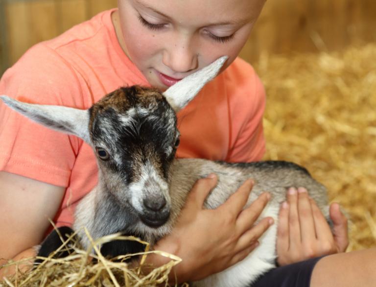 boy holding goat.