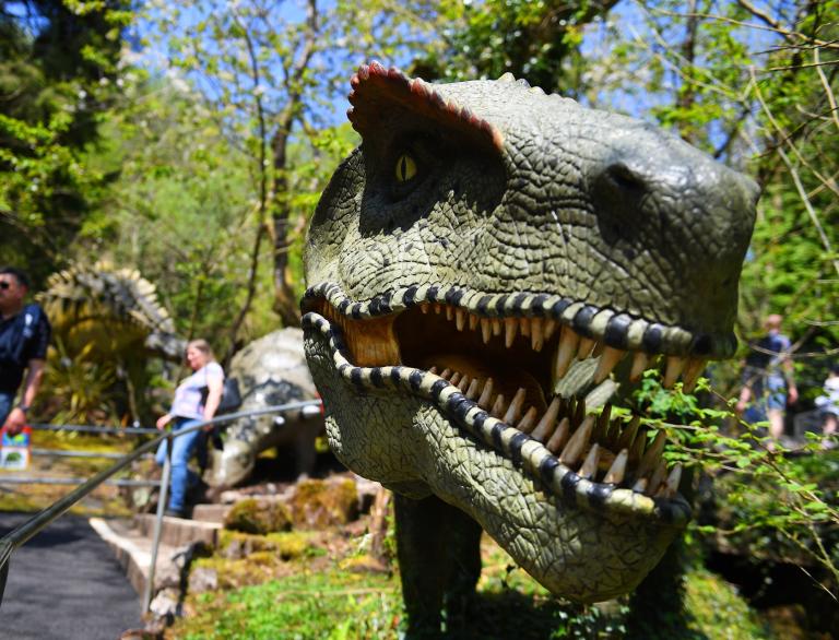 Dinosaurier-Kopf im National Showcaves Centre for Wales, Dan yr Ogof.