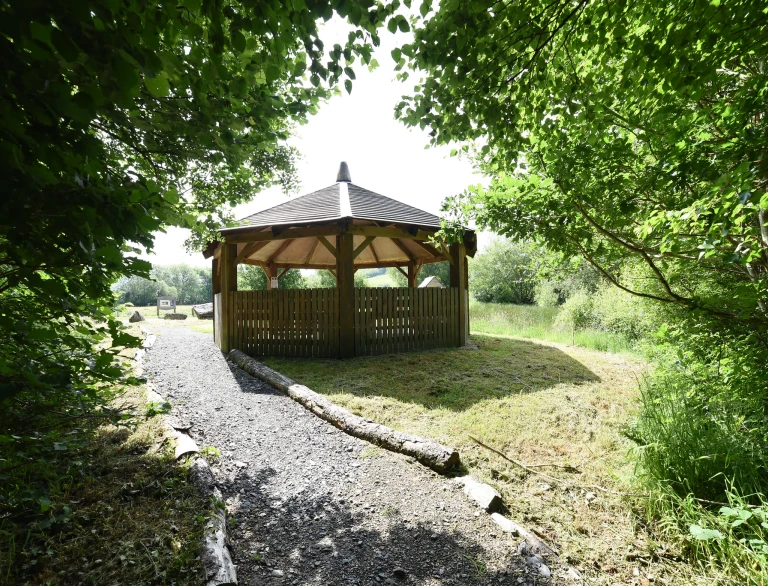 Shelter within the forest.
