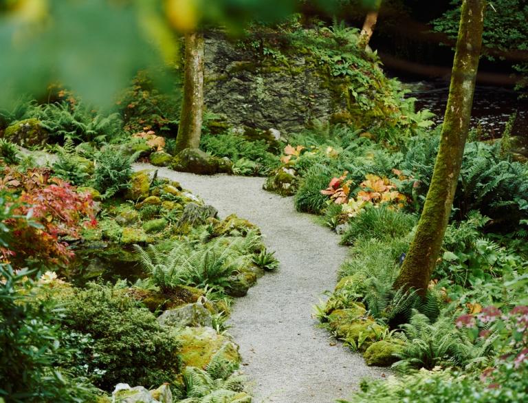 A path winding through a garden amongst plants and trees.