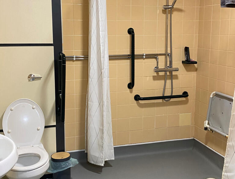 Accessible wet room with toilet and shower with grab rails.