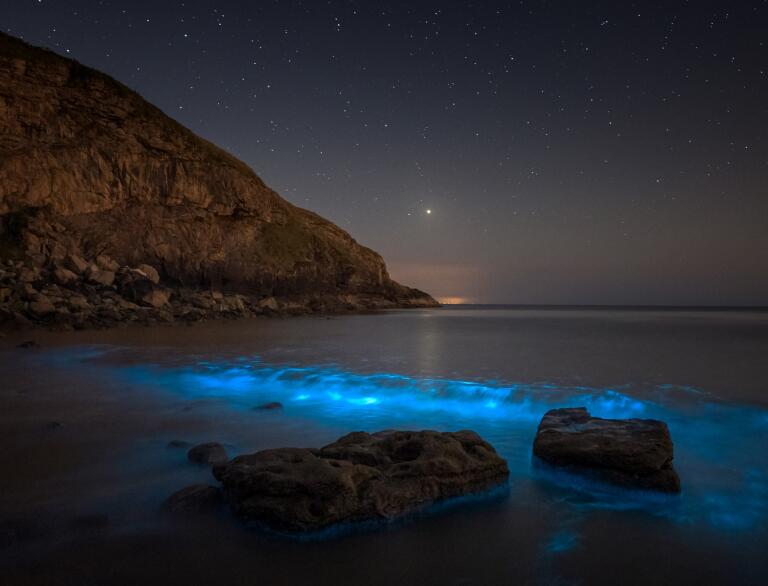 bioluminescence in shallows of bay at night.