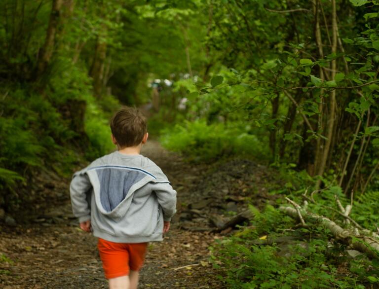 boy walking through woods.