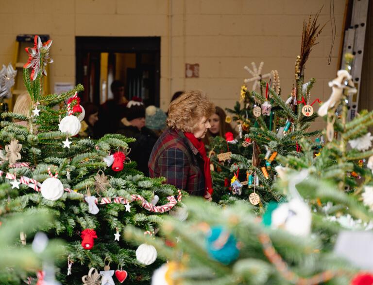 display of decorated Christmas trees and people viewing.