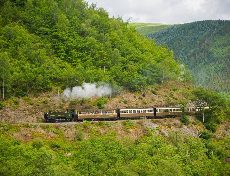 steam train and surrounding countryside.