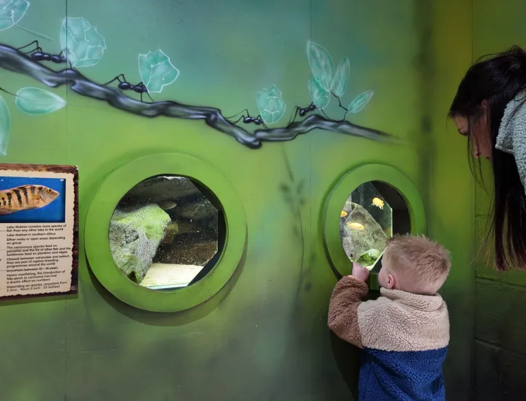 boy and woman looking through round windows at fish in zoo.