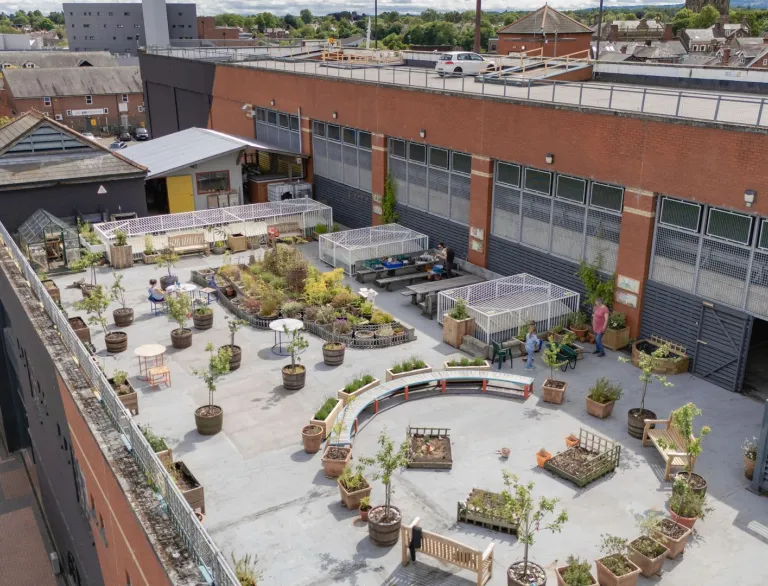 roof terrace with plants and seats.