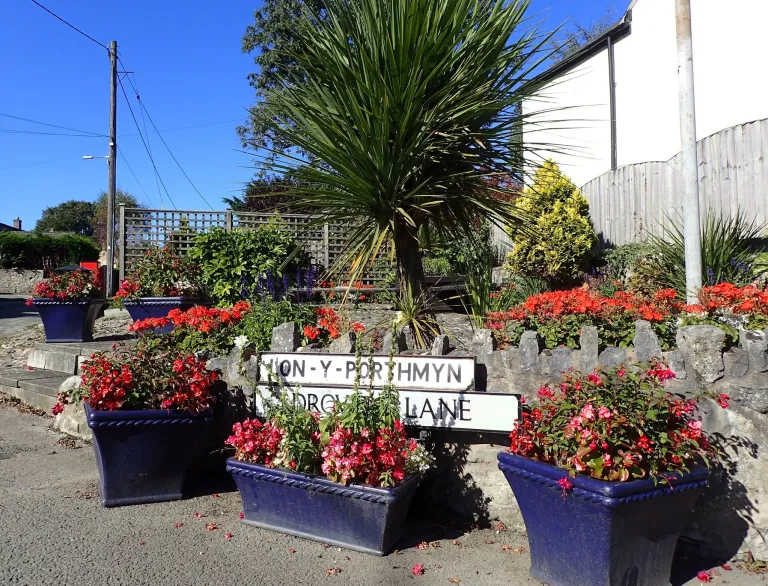 Flower pots with blooms and wall with flowering plants and palm tree with road signs on the wall
