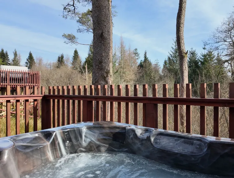 An outdoor hot tub with views towards a forest.