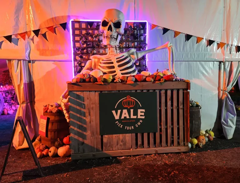 Giant skeleton and pumpkin display illuminated with orange and purple lights.