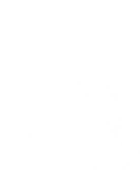 white version of west wales region map