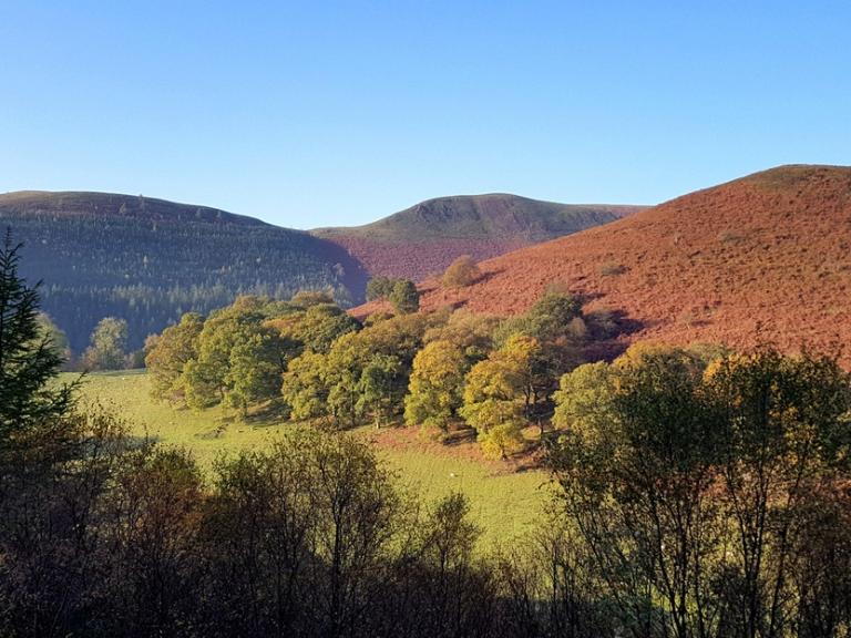 mountain landscape of three mountains against a blue sky and trees and a field in the foreground starting to show autumnal colour