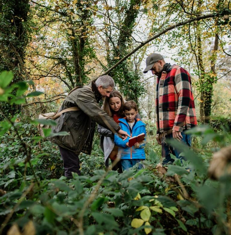 Eine Familie mit einem kleinen Jungen und einem Wanderführer im Wald, der ihnen einen Reiseführer zeigt