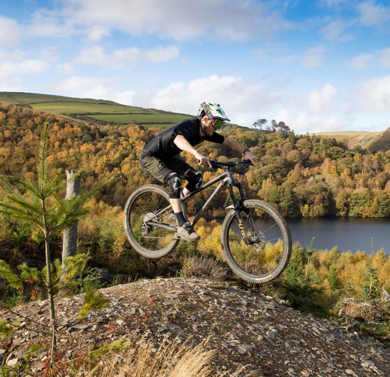 A mountain biker doing a jump amongst forestry.
