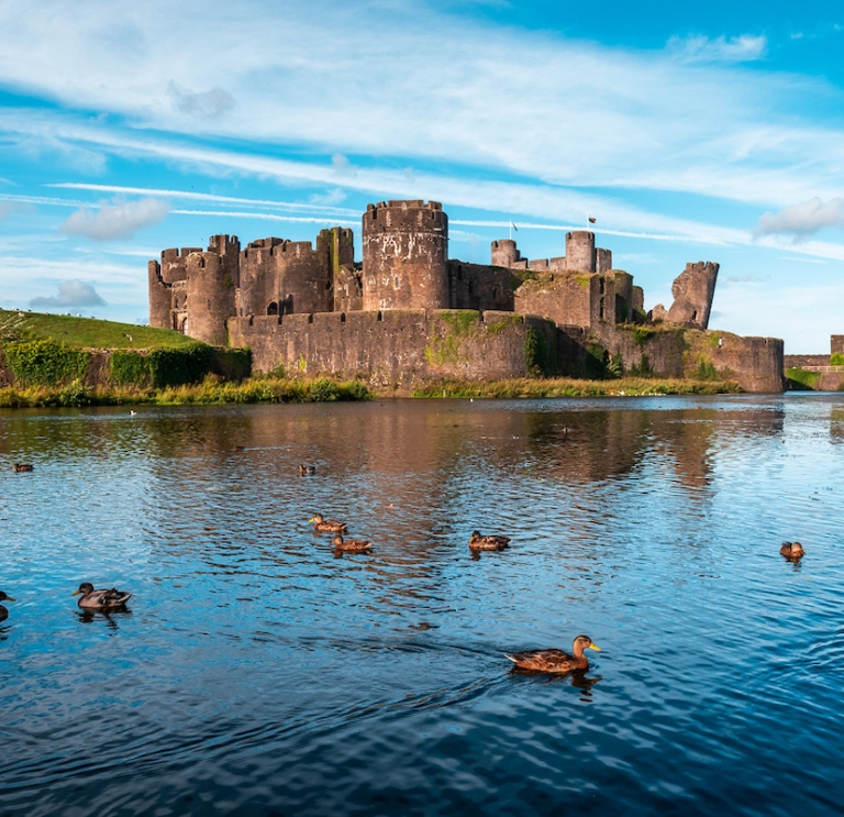 A castle with a leaning tower behind ducks swimming on a moat.