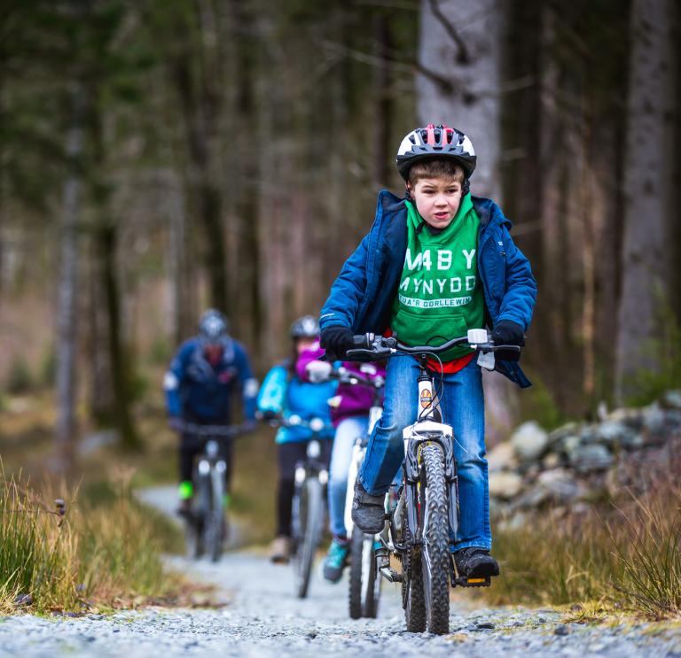 A family on mountain bikes in a forest.
