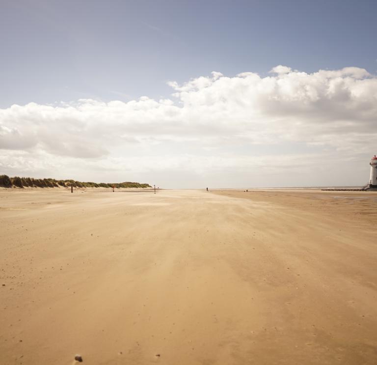 Ein großer Strand mit goldgelbem Sand.