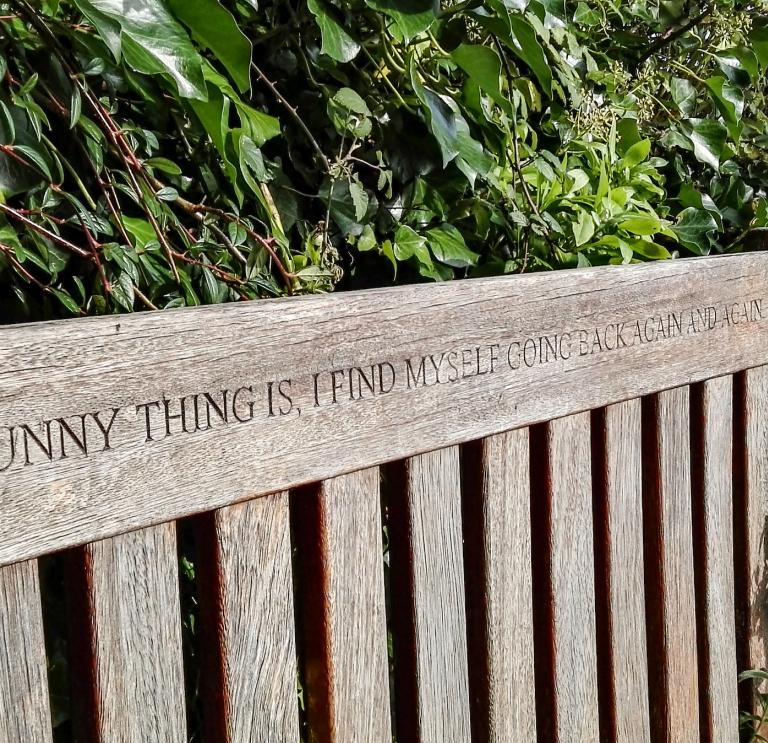 Bench with plaque that reads 'The funny thing is, I find myself going back again and again'