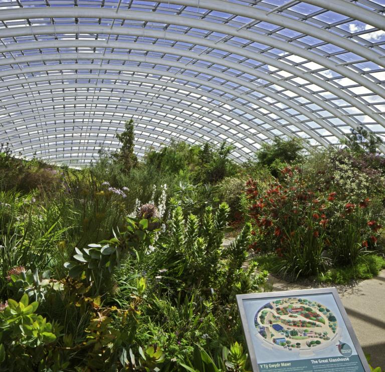 The Great Glass House at National Botanic Garden of Wales.