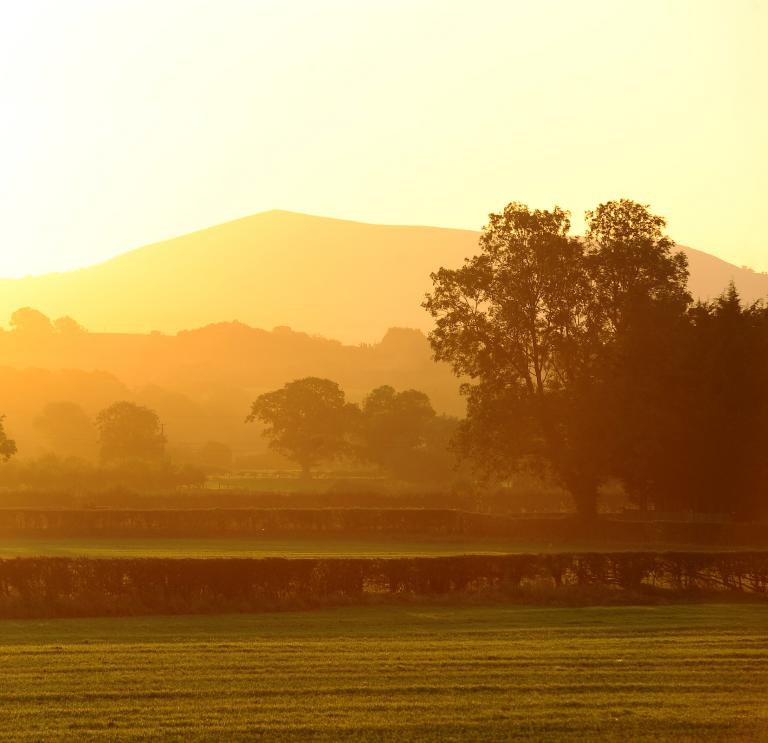 Image of fields, trees and hills at dawn