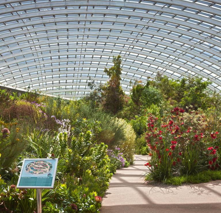Interior view of large glasshouse with plants.