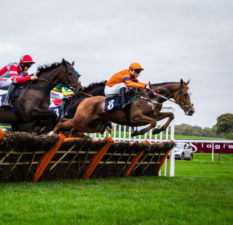Race horses jumping a fence