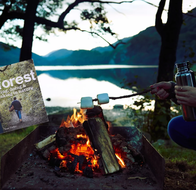 someone toasting marshmallows over a campfire, overlooking a tree-lined lake
