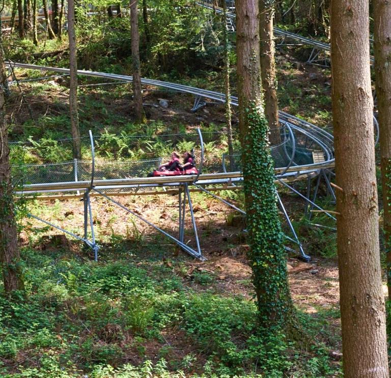 Two people on the Zip World Fforest Coaster