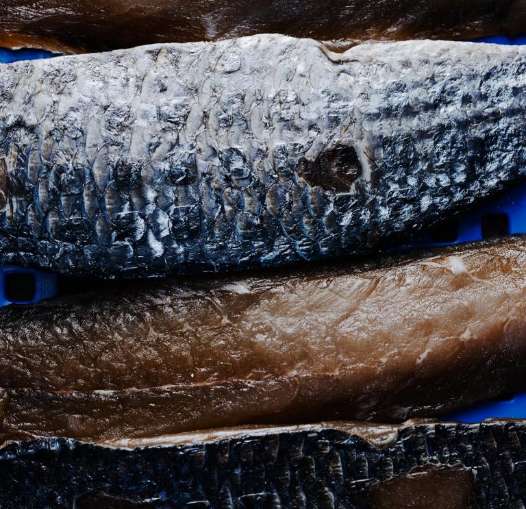 close up of smoked fish.