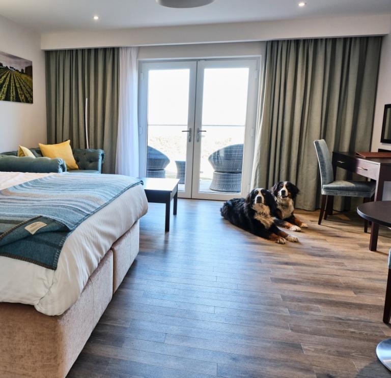 Dog friendly hotel room at Llanerch Vineyard