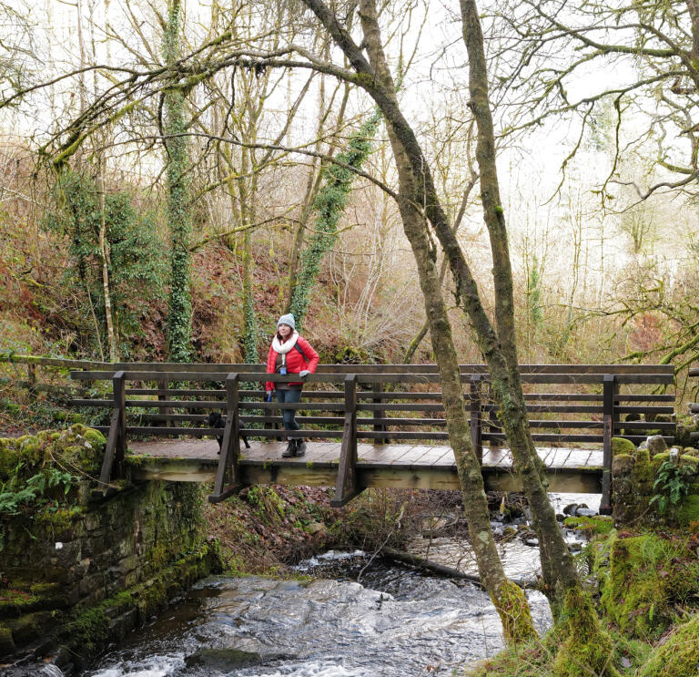 A woman and a dog on a wooden bridge over a woodland stream.