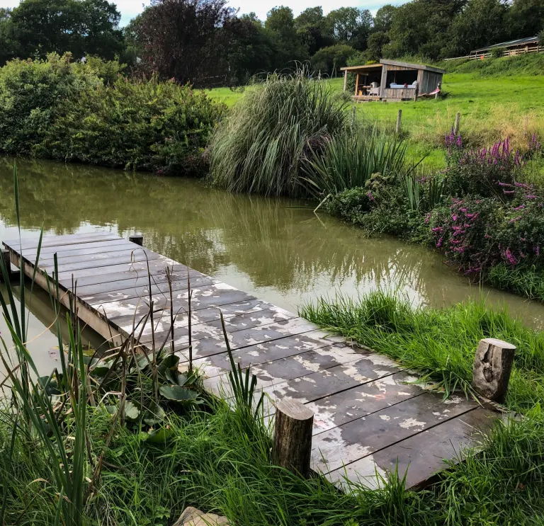 lake with cabin in background.
