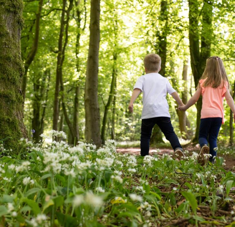 Ein Junge und ein Mädchen Hand in Hand im Wald mit Bärlauch.