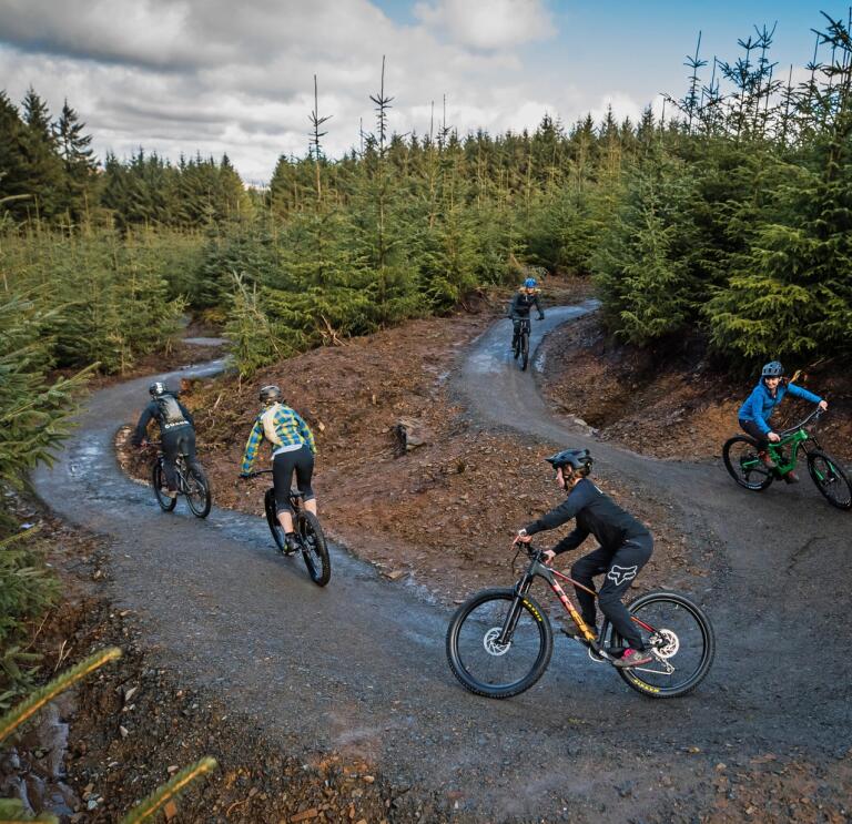 A group of mountain bikers on a downhill forest trail.