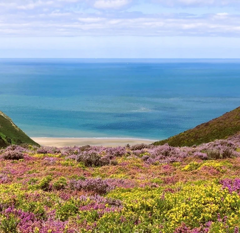 Blick vom Conwy Mountain hinaus aufs Meer.