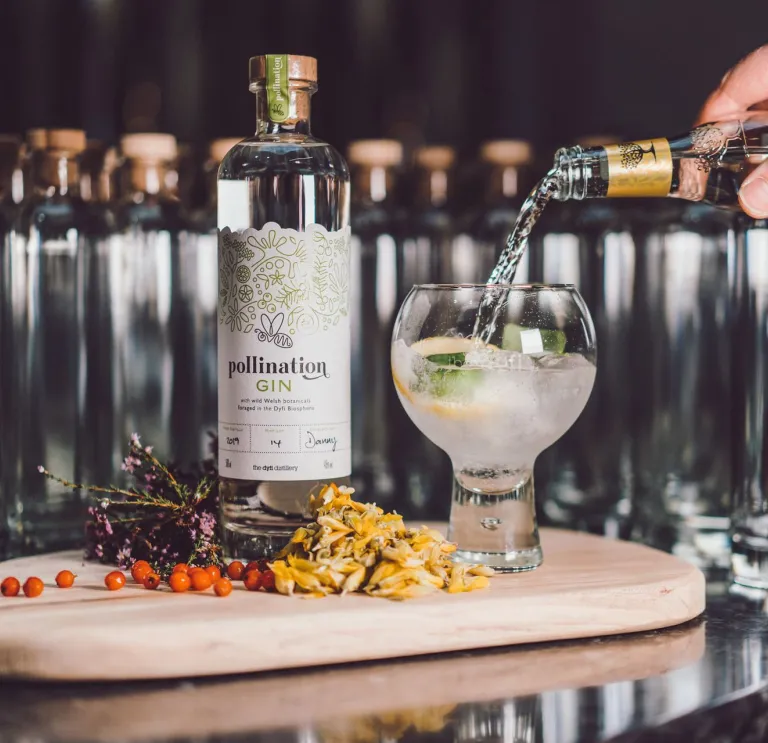 A bottle of gin on a wooden platter, surrounded by botanical ingredients, and a person pouring tonic water into a gin glass. 