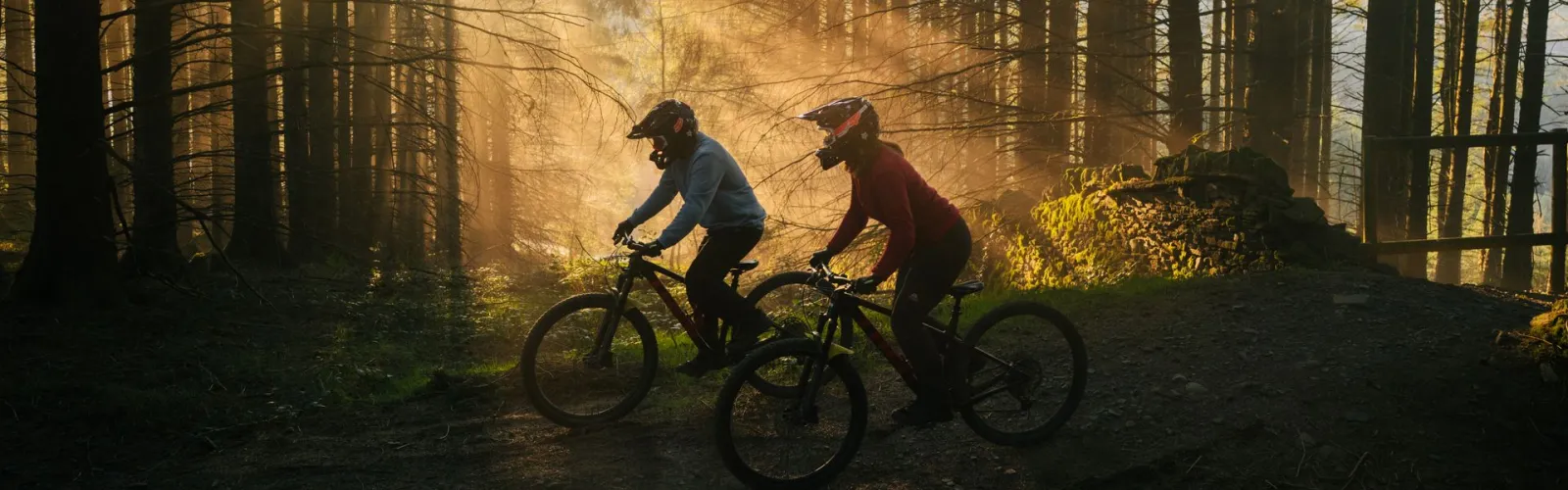 Bikepark Wales trail through Gethin Woods