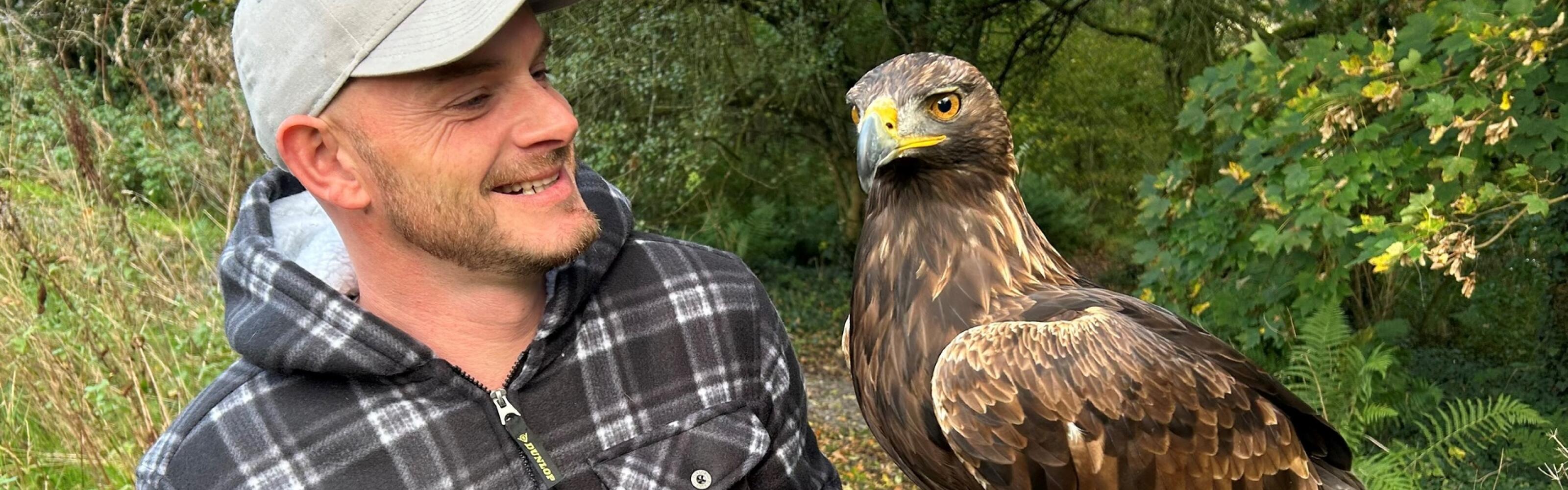 Golden eagles are among the birds of prey which have a new home in Wales -  Wales Online