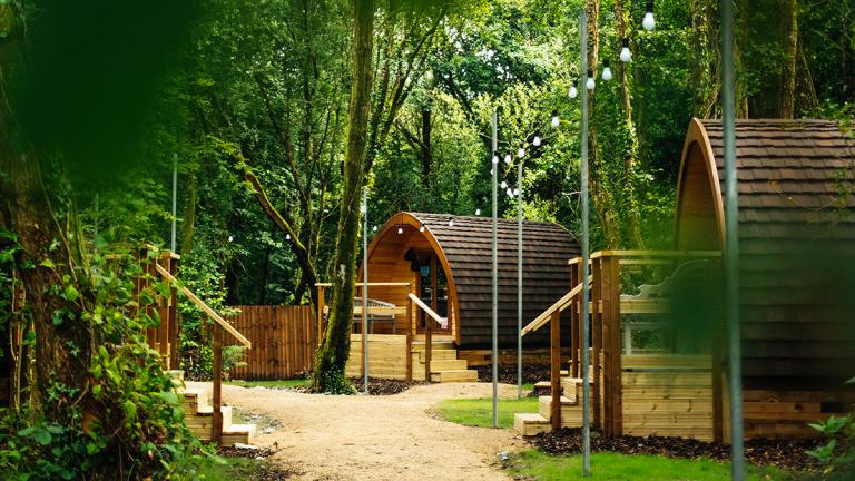 Glamping pods made of wood set in a forest.