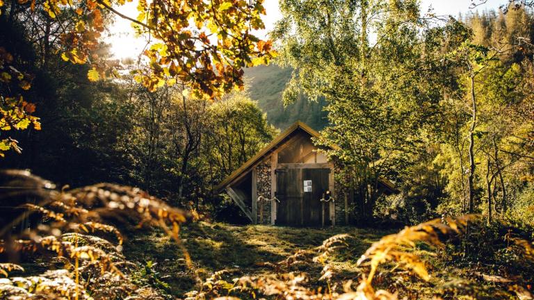 A building made of natural wood and logs in the woodland filled with sunlight.