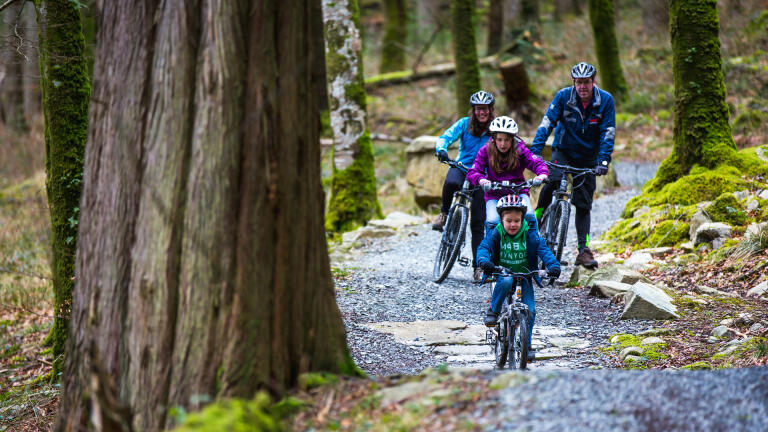 Family cycling on a forest trail at Coed y Brenin.