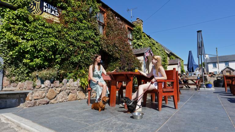 two women and dogs in beer garden.
