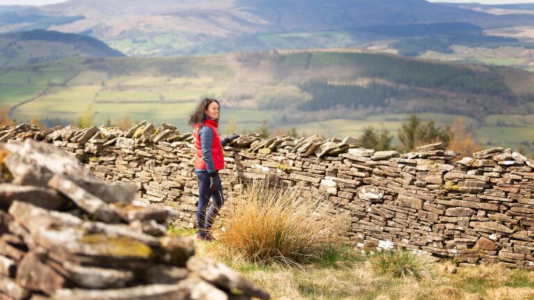 A person standing next to a stone wall and looking out over the mountains.