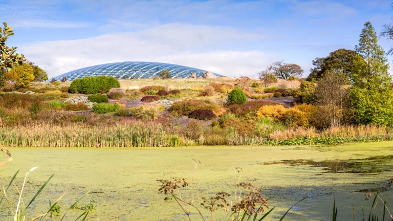 A green moss covered lake in front of a colourful slate bed.